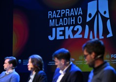 Predlog za začasno zadržanje odloka o razpisu referenduma po mnenju vlade neutemeljen