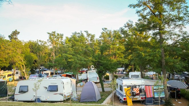 Slovenski turisti ogorčeni zaradi prenove priljubljenega kampa na Krku: "Vse ste uničili!" (VIDEO) (foto: Profimedia)