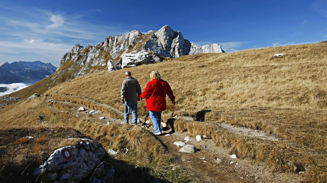 V slovenskih hribih opazovala razgled, kar naenkrat pa zaslišala neobičajen jok (foto: Profimedia)