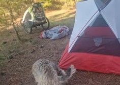 Popotnik Oliver Tič ponoči preživljal pravo dramo in zbežal iz šotora (VIDEO)