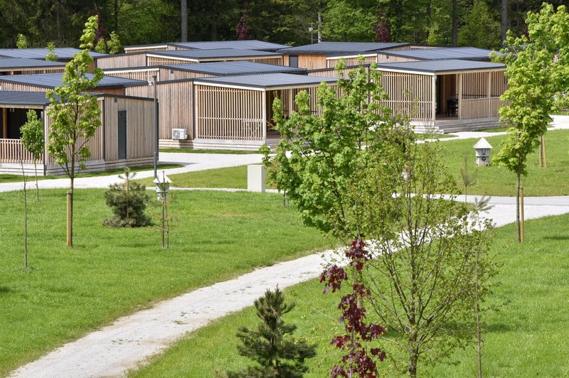 Pri nas sta najboljša na Gorenjskem in Dolenjskem, med hrvaškimi so izbrali tudi najboljši nudistični kamp (foto: BoBo)