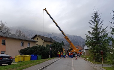 V središču Ljubljane so že postavili božično smreko: ne boste uganili, kakšno ime so ji nadeli (FOTO)