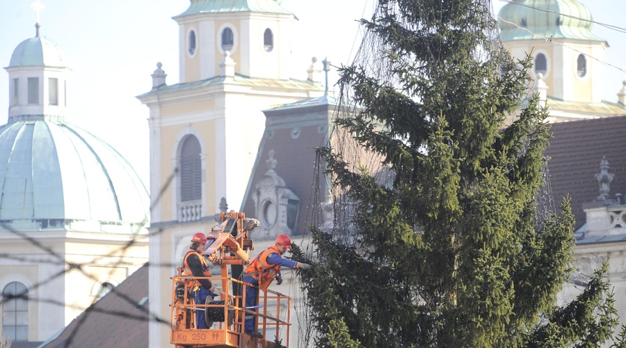 "Ljudstvo" je izbralo: letošnja novoletna smreka v Ljubljani se bo imenovala ... (foto: Bor Slana/Bobo)