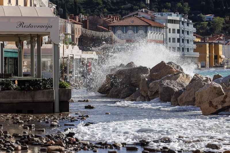 Skrb vzbujajoče stanje v slovenskem morju: strokovnjaki opozarjajo na kritično dogajanje, vzrok zaenkrat še ni znan (foto: Profimedia)