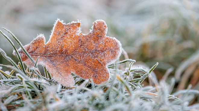 Zakorakali bomo v december: kakšno vreme nas čaka v prvih dneh meseca? (foto: Profimedia)