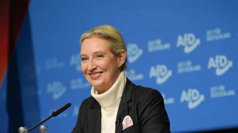 Alice  Weidel, Nemčija