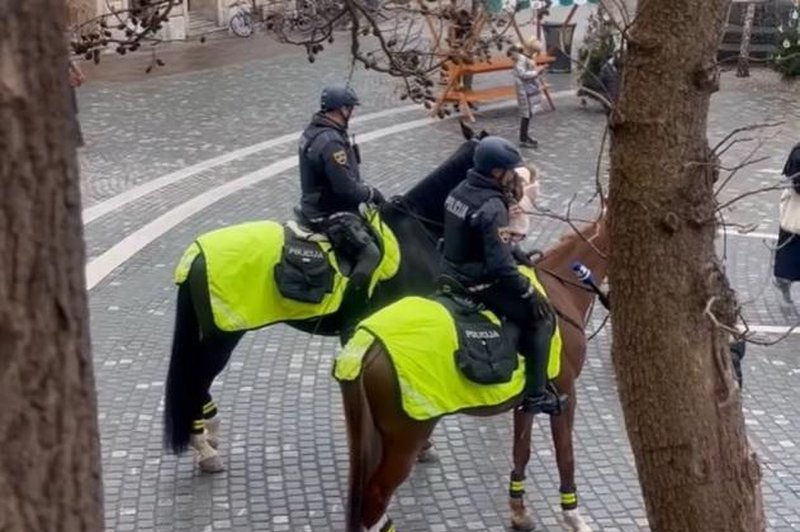 Predpraznično Ljubljano varujejo tudi lepotci na štirih nogah (foto: Slovenska policija / Facebook)