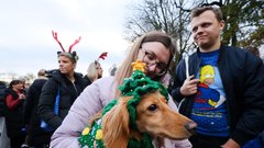 (FOTO) Jazbečarji v božičnih opravah zavzeli Hyde Park in postali prava spletna senzacija