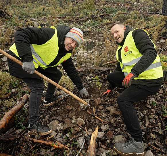 Pohvalno je, kako ta prehranski velikan z malimi koraki osvaja velike cilje: pogozdovanje Krasa je eden od njih! (foto: McDonald's)