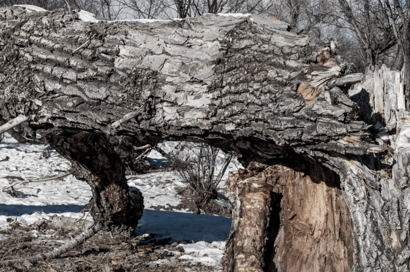 Fotografija je simbolična. (foto: Profimedia)