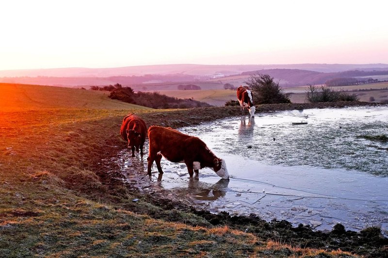 Temperaturni obrat prinaša sončen dan z jutranjimi ... (foto: Profimedia)