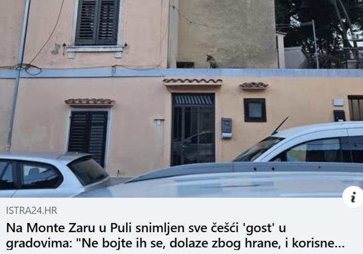 Prebivalec Pulja posnel vse bolj pogostega mestnega obiskovalca (ljudje v strahu)