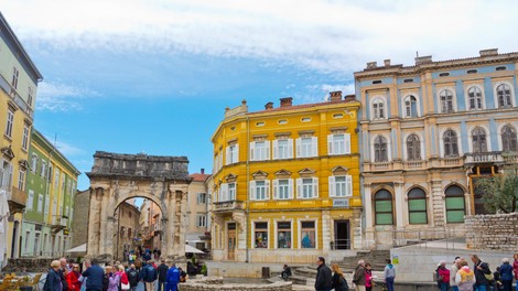 živali Pula mesto lisica divja žival