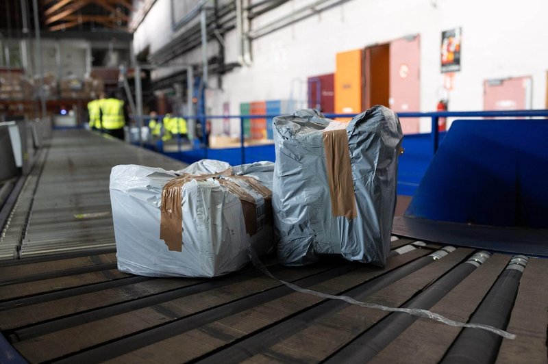 Na letališču našli paket s prav posebnim "potnikom" (foto: Profimedia)