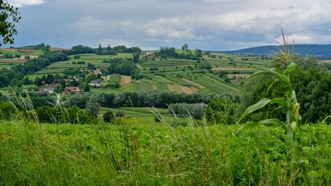 Goričko narava Slovenija