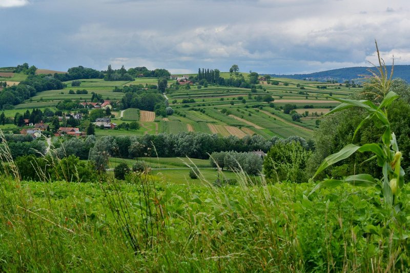 Fotografija je simbolična. (foto: Urska Zivulovic/Bobo)