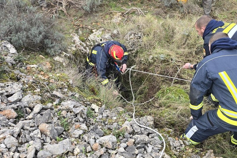 Na Hvaru potekala urgentna reševalna akcija, junak pa pes Don (foto: DVD Hvar / Facebook)