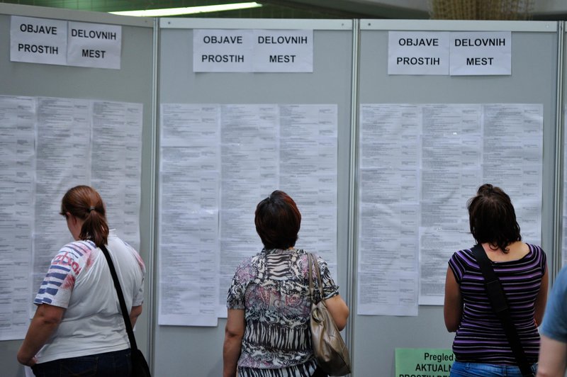 Slovenski oglas, ki dviguje obrvi: ponujajo 12.500 evrov za 3 mesece dela (noro, kaj zahtevajo) (foto: Miloš Vijunović/Bobo)