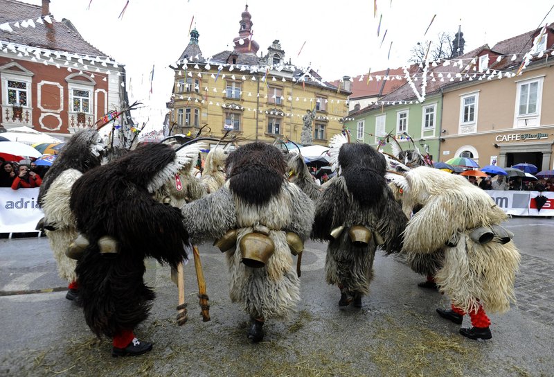 pust kurenti Ptuj