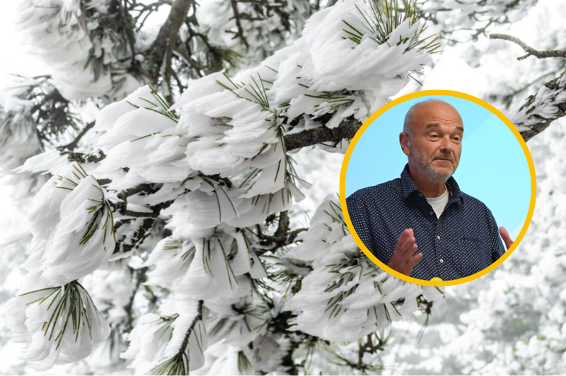 Goričko je te dni še posebej pravljično: meteorolog Branko Gregorčič nam je zaupal, zakaj so prizori navdušili tudi njega (foto: Katja Kušar/Žiga Živulovič jr./Bobo/fotomontaža)