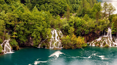 reka krka hrvaška alge 130 let