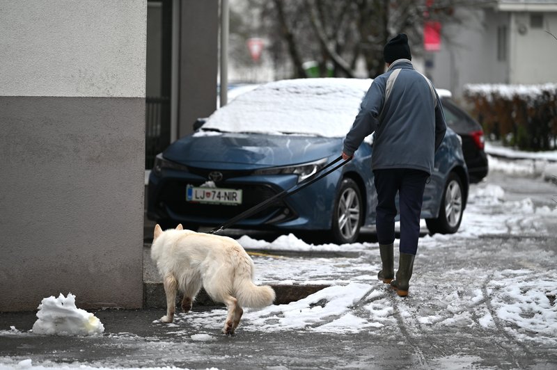 Napovedi vremenoslovcev so se uresničile: sneg pobelil številne kraje (foto: Igor Kupljenik/BOBO)