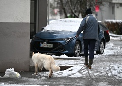 Napovedi vremenoslovcev so se uresničile: sneg pobelil številne kraje