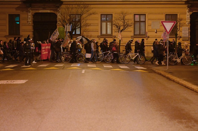 protest kolesarji Glas ljudstva Ljubljana