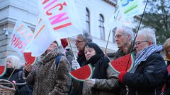 protest kolesarji Glas ljudstva Ljubljana