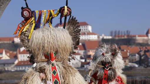 Več deset tisoč ljudi si je ogledalo ptujsko karnevalsko povorko (FOTO)