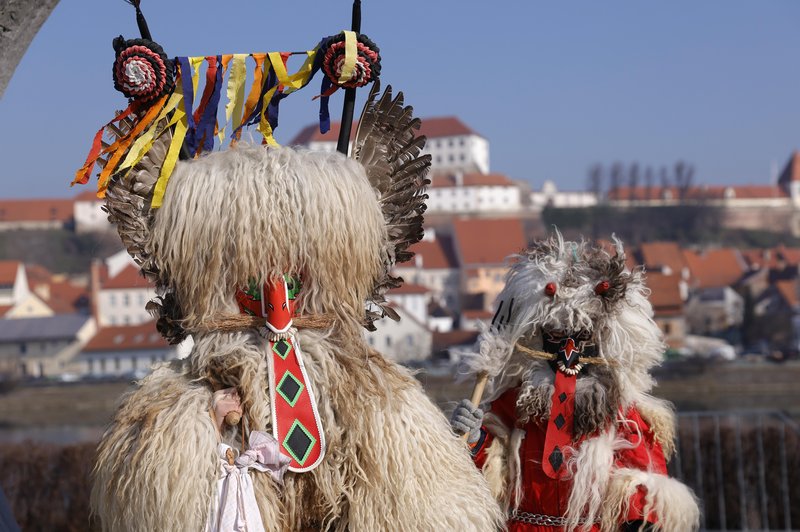 Več deset tisoč ljudi si je ogledalo ptujsko karnevalsko povorko (FOTO) (foto: Bobo)