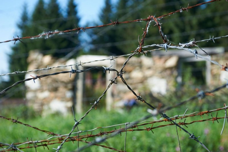 Fotografija je simbolična. (foto: Profimedia)