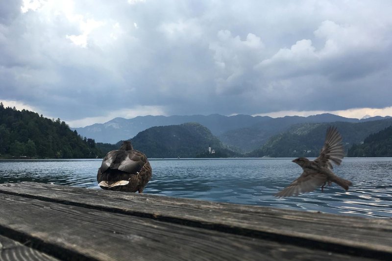 Vremenoslovci z novico, ki ni prav nič optimistična (foto: Profimedia)